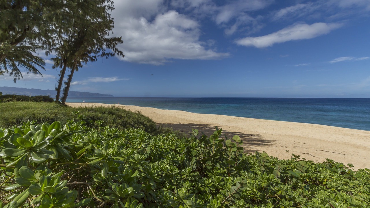 Photo of Others in Pupukea