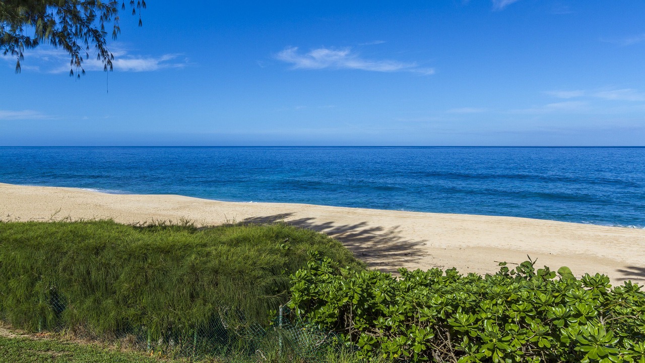 Photo of Others in Pupukea