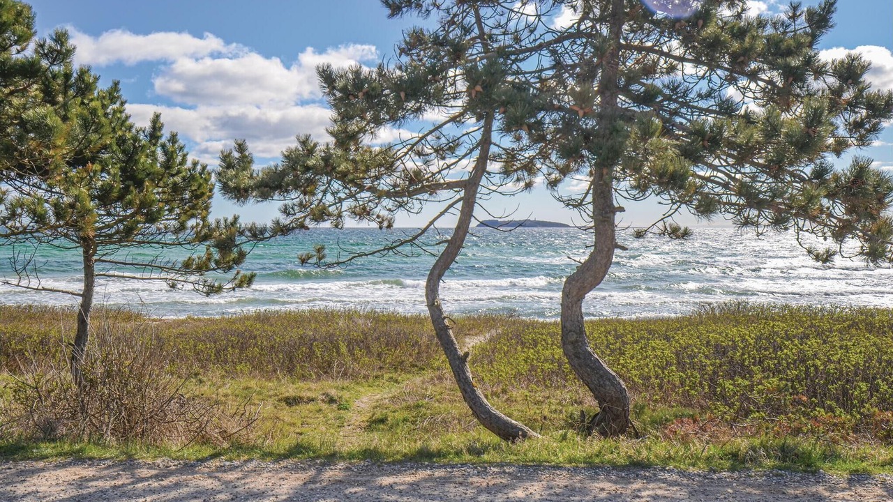 Photo of Others in Elsegarde Strand