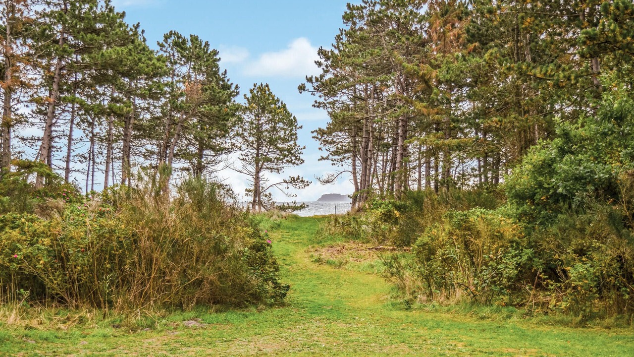 Photo of Outdoor in Elsegarde Strand