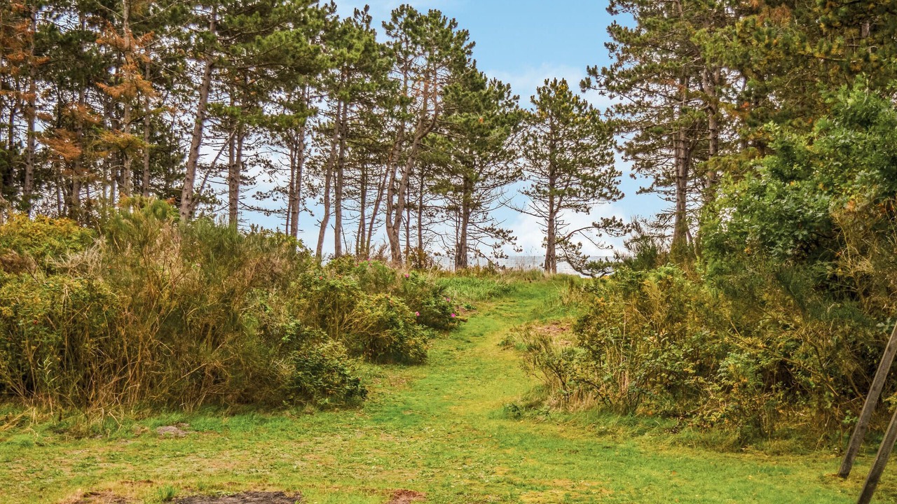 Photo of Outdoor in Elsegarde Strand