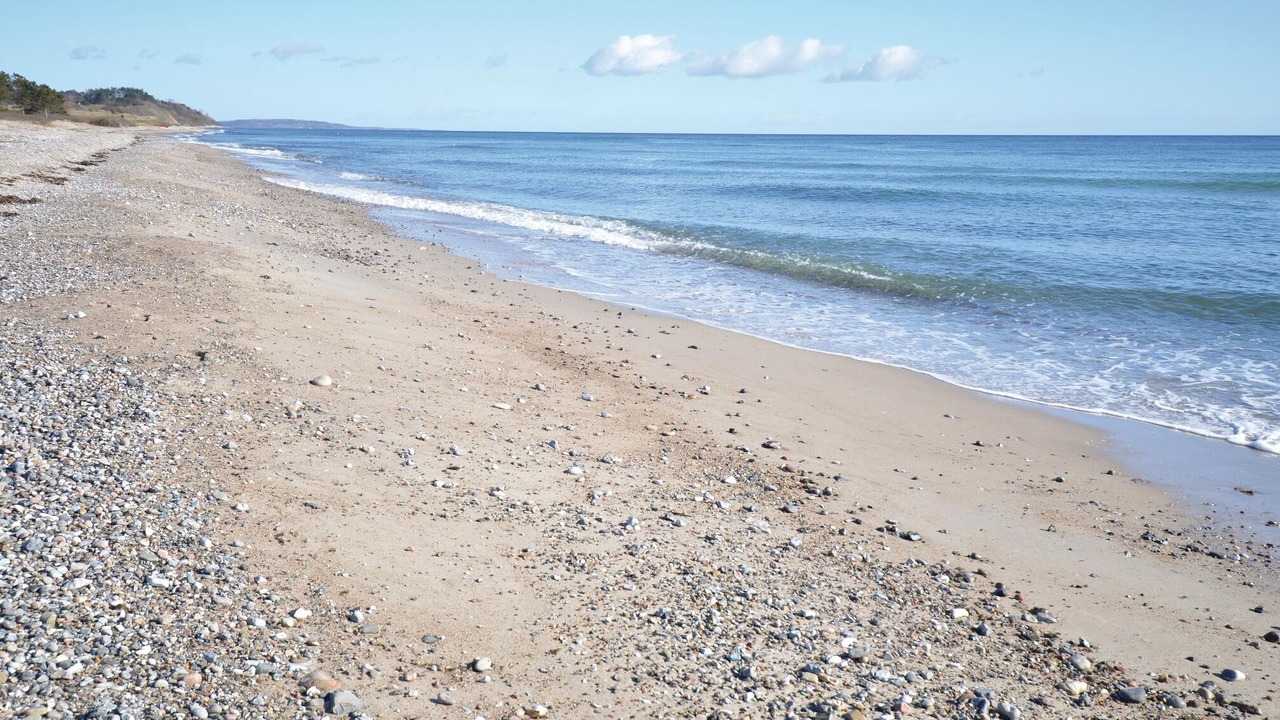 Photo of Others in Elsegarde Strand