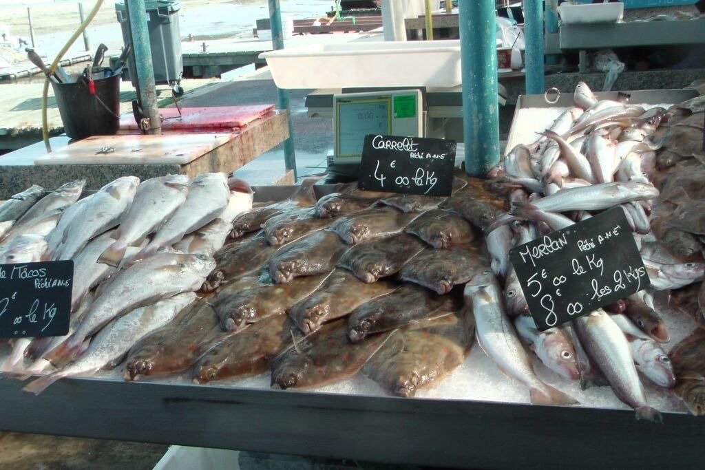 Photo of Others in Bernieres-sur-Mer