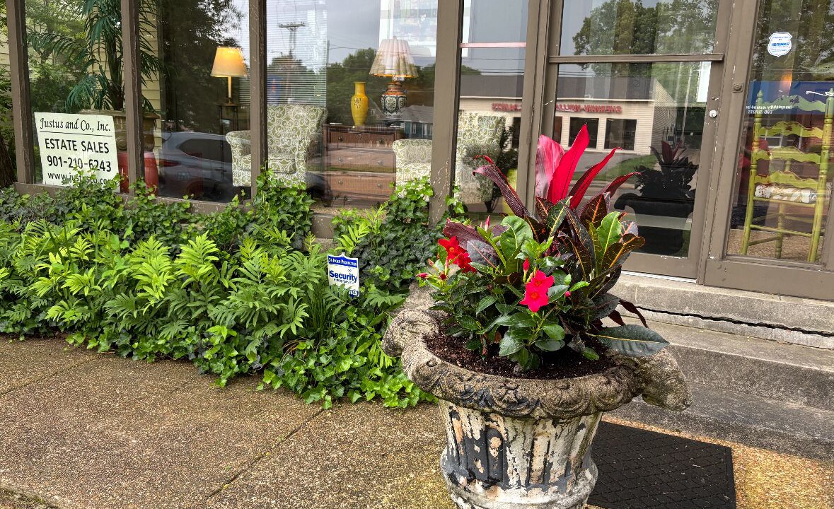Photo of Outdoor in Midtown