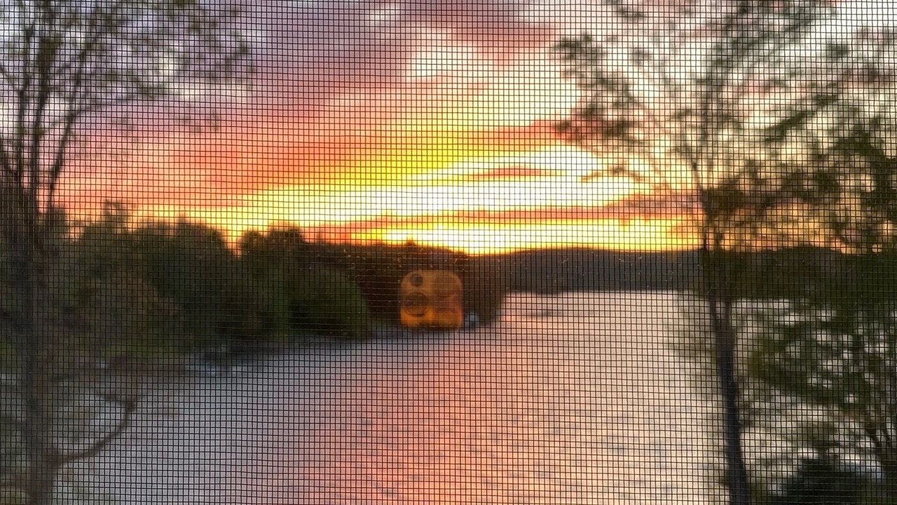 Photo of Others in Danbury