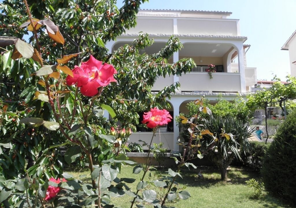 Photo of Outdoor in Lopar