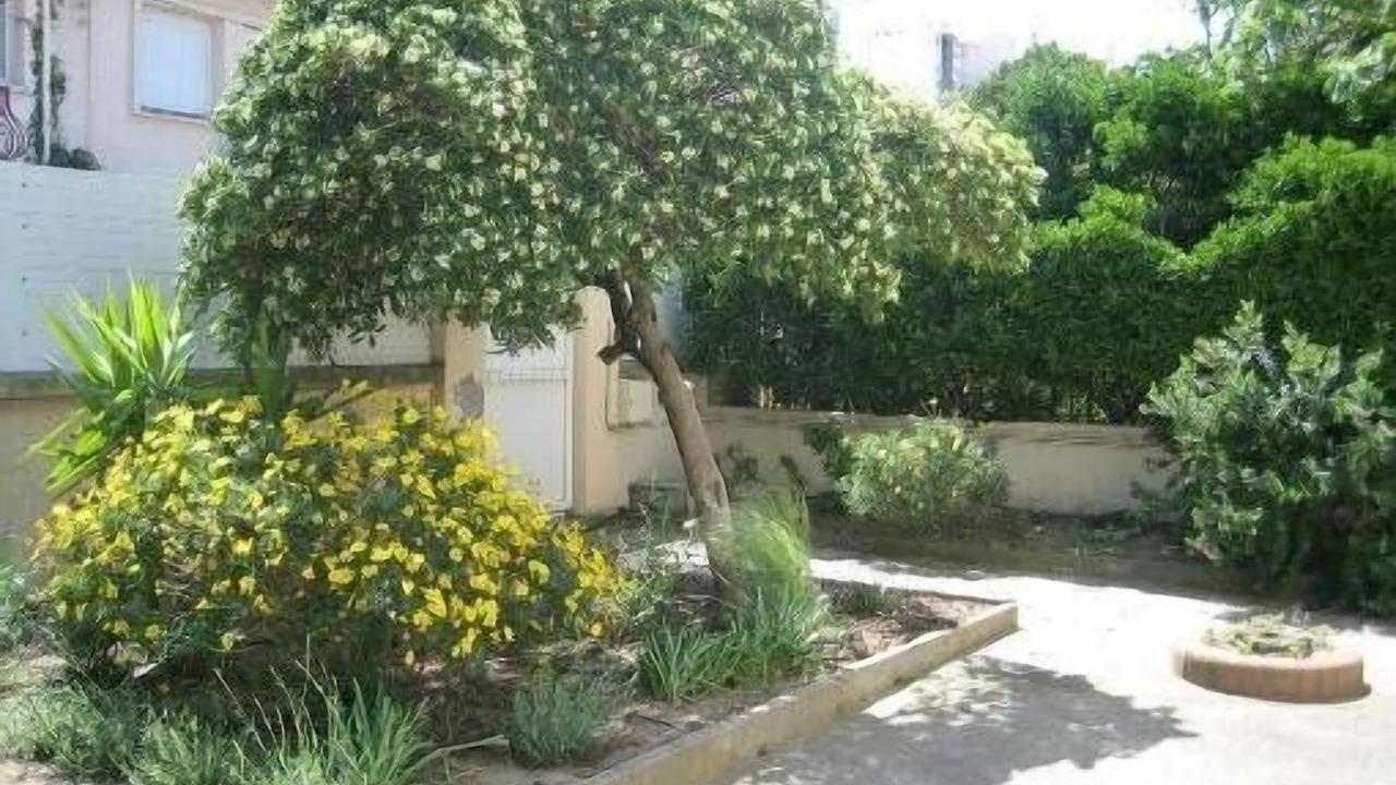 Photo of Outdoor in Canet-Plage