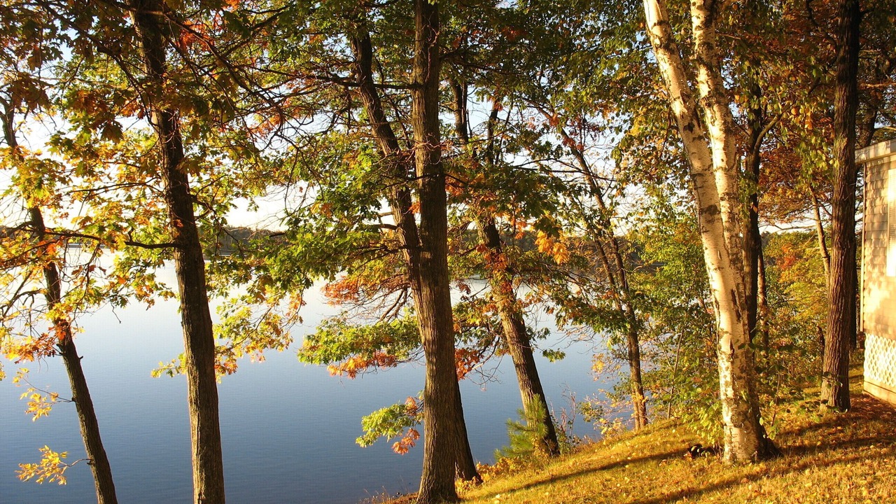 Photo of Outdoor in Moose Lake