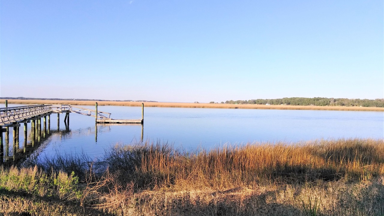 Photo of Others in Saint Helena Island