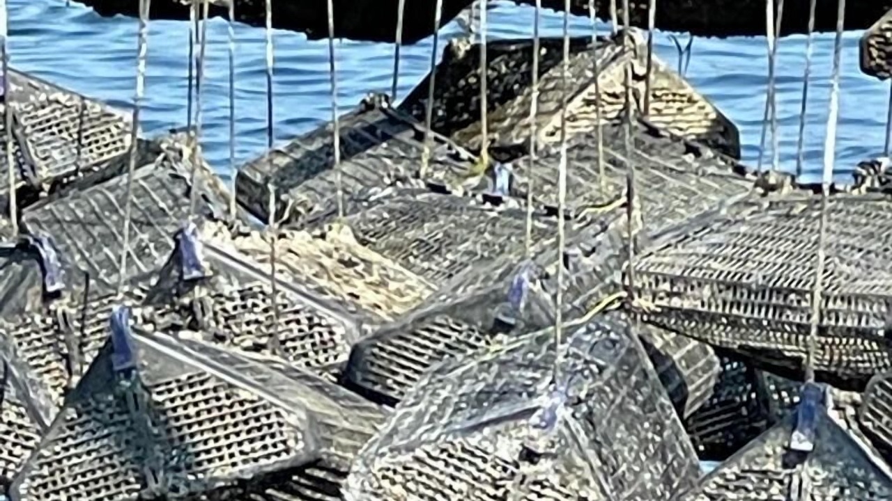 Photo of Others in Frontignan