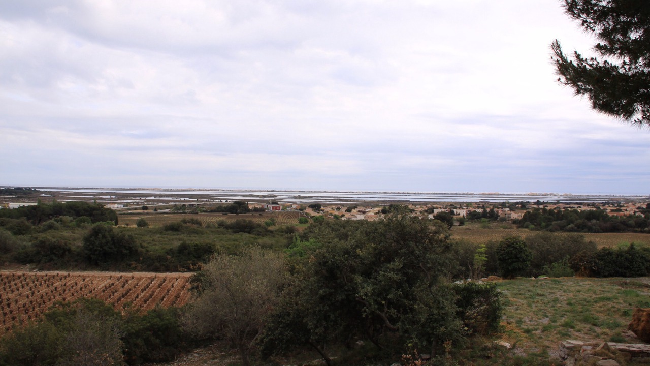 Photo of Others in Frontignan