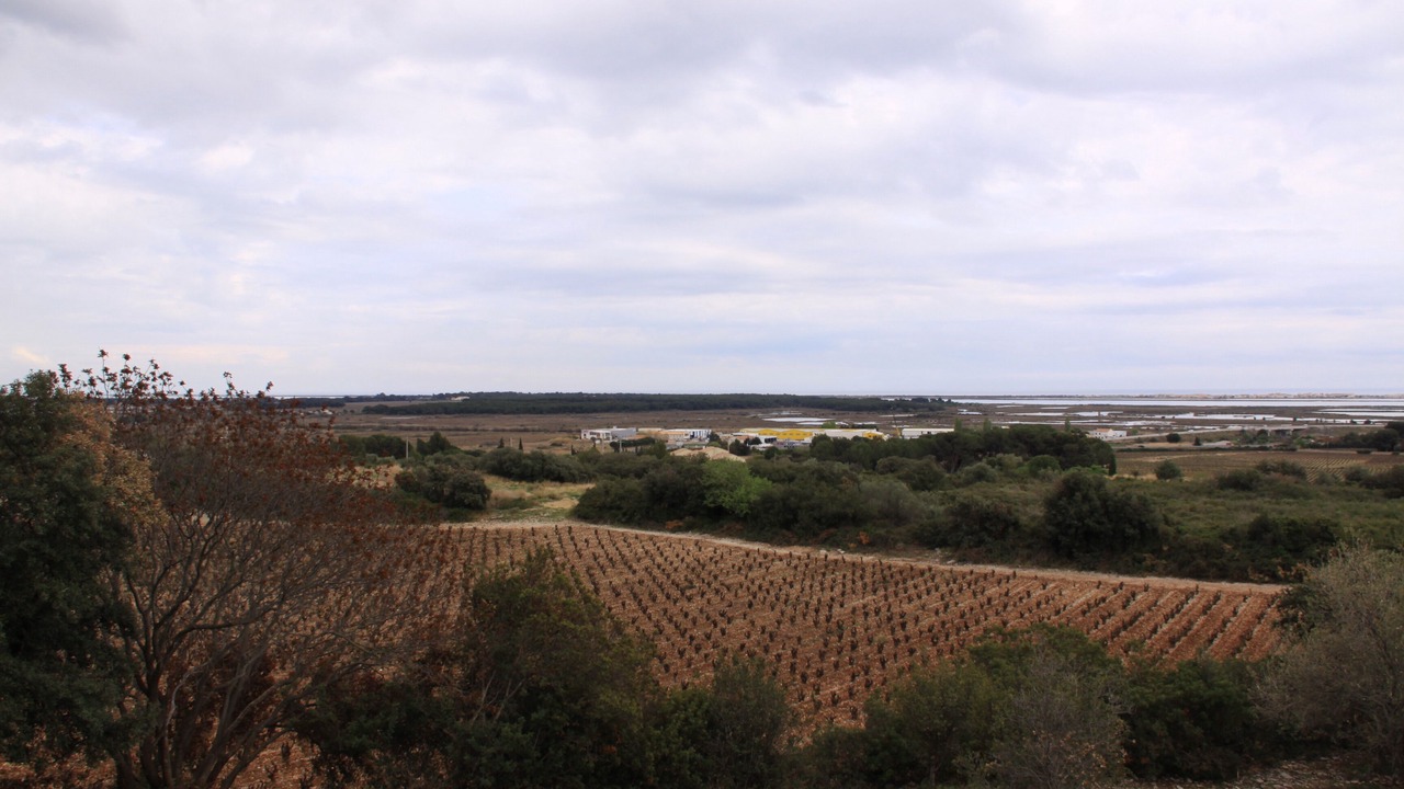 Photo of Others in Frontignan