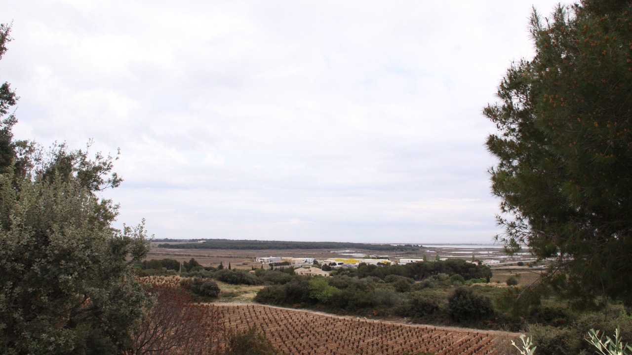 Photo of Others in Frontignan