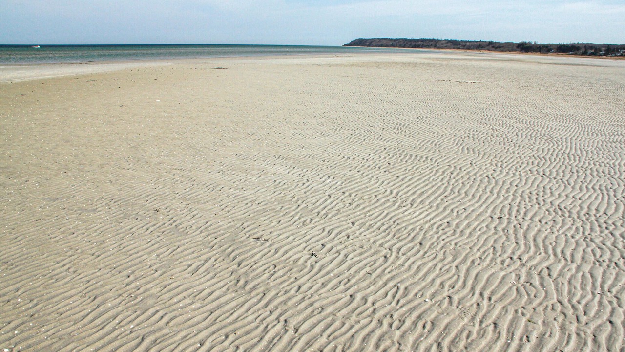 Photo of Others in Bønnerup Strand