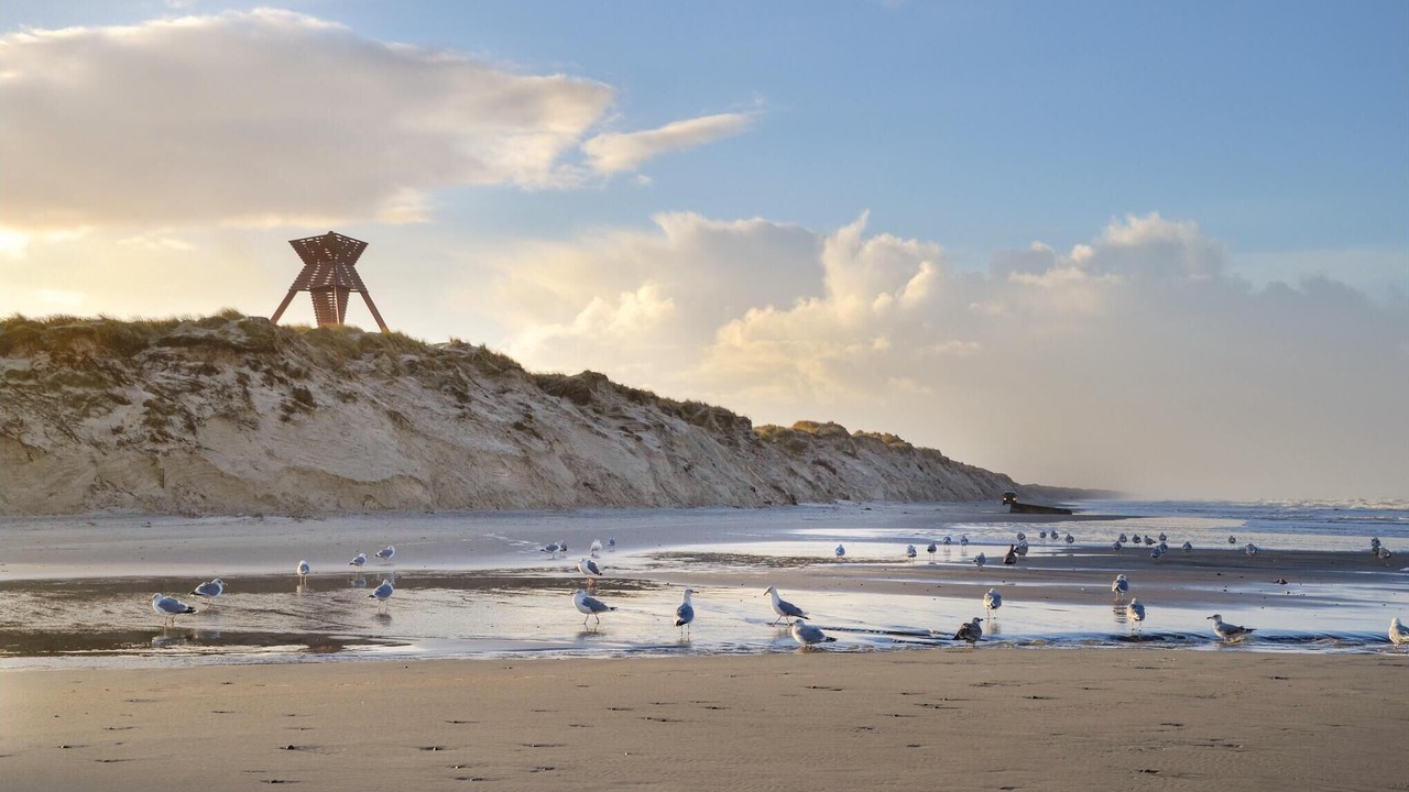 Photo of Others in Blokhus