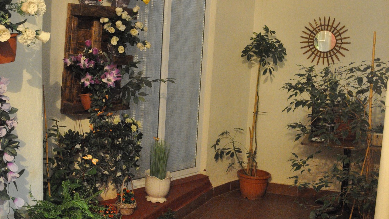 Photo of Others in Barri Vell - Santa Creu