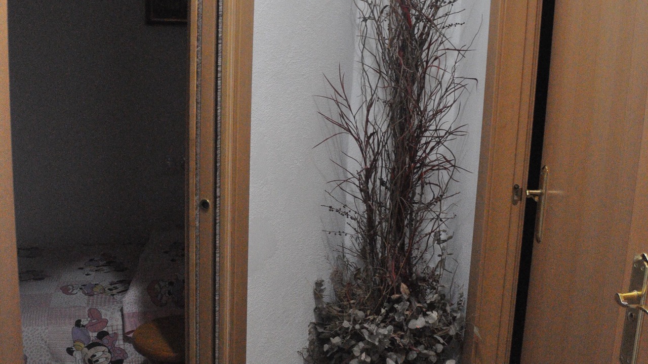Photo of Bedroom in Barri Vell - Santa Creu