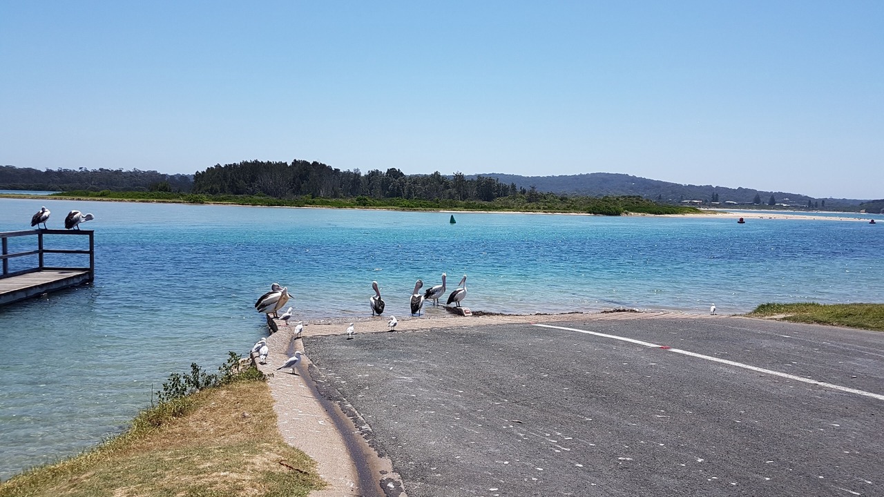 Photo of Others in Mossy Point