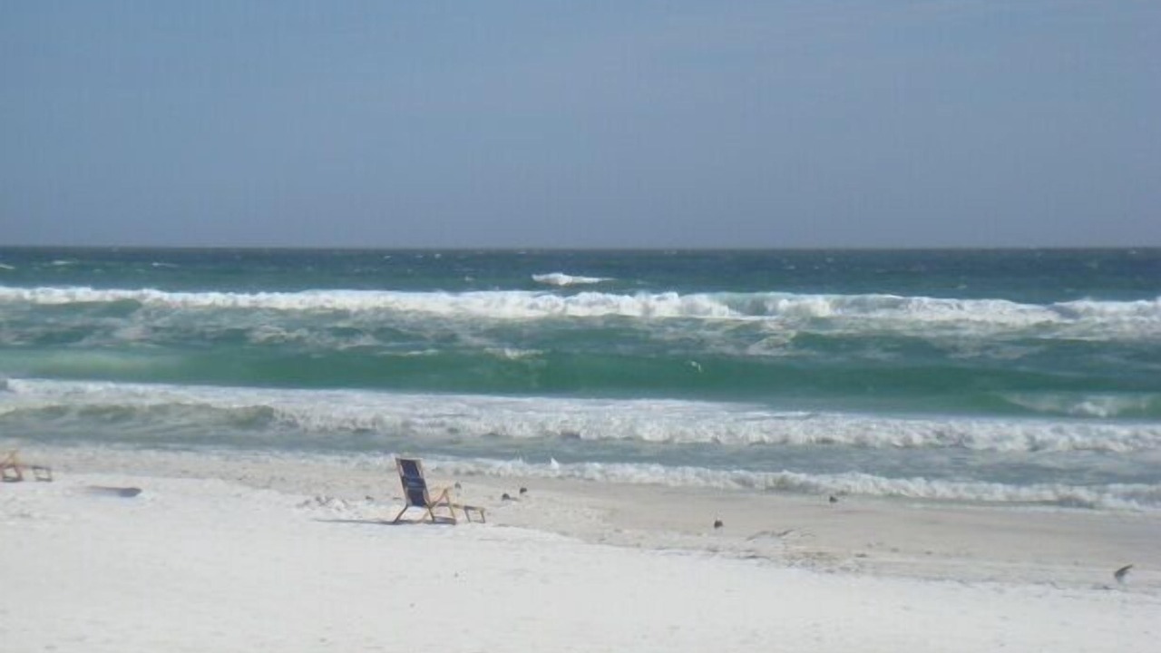 Photo of Others in Miramar Beach