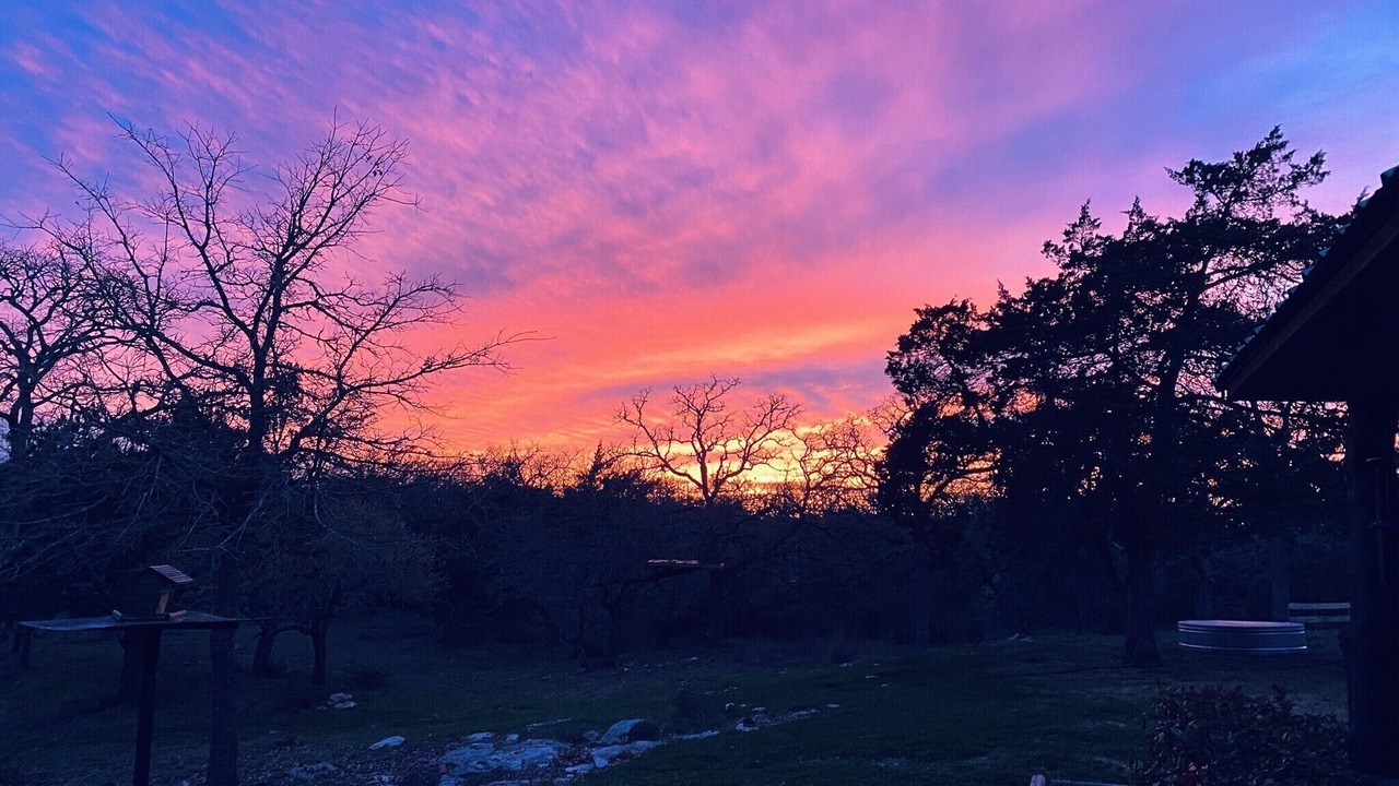 Photo of Outdoor in Carmine