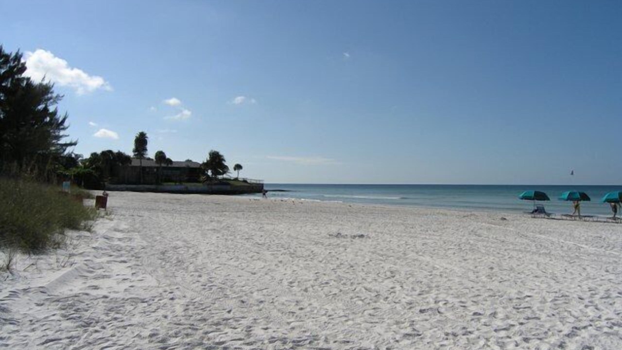 Photo of Others in Siesta Key