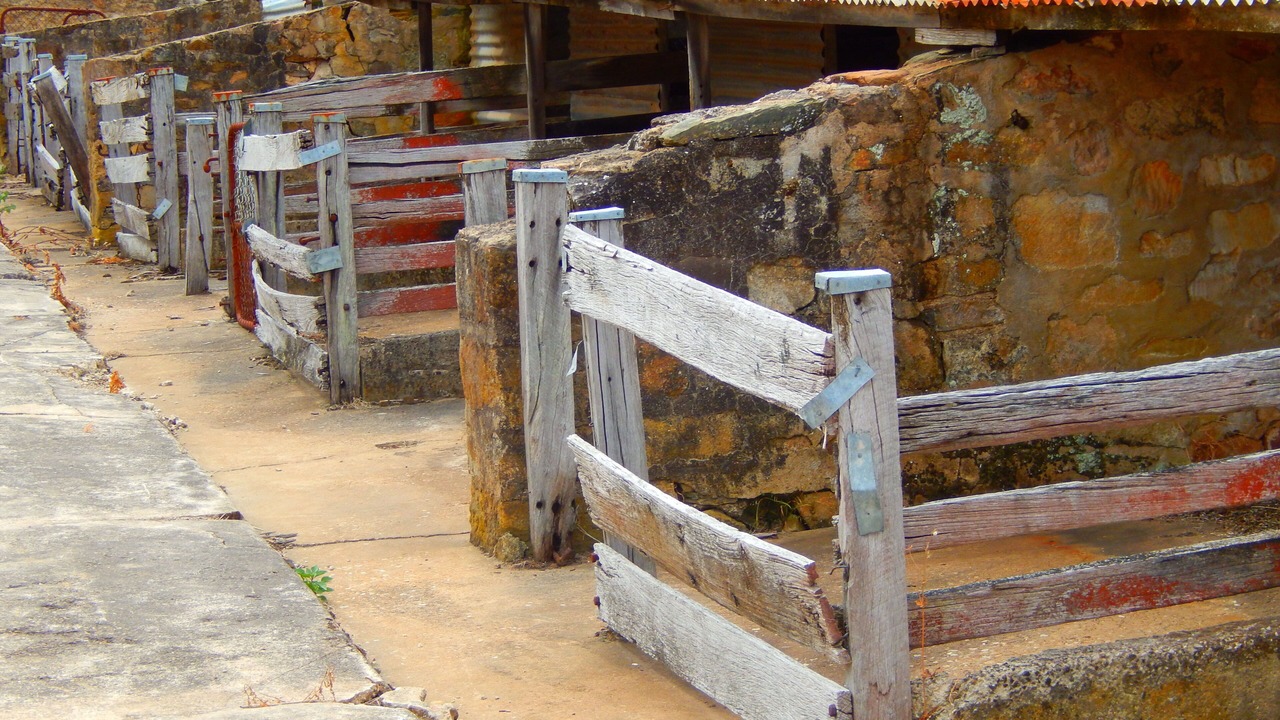 Photo of Others in Norton Summit