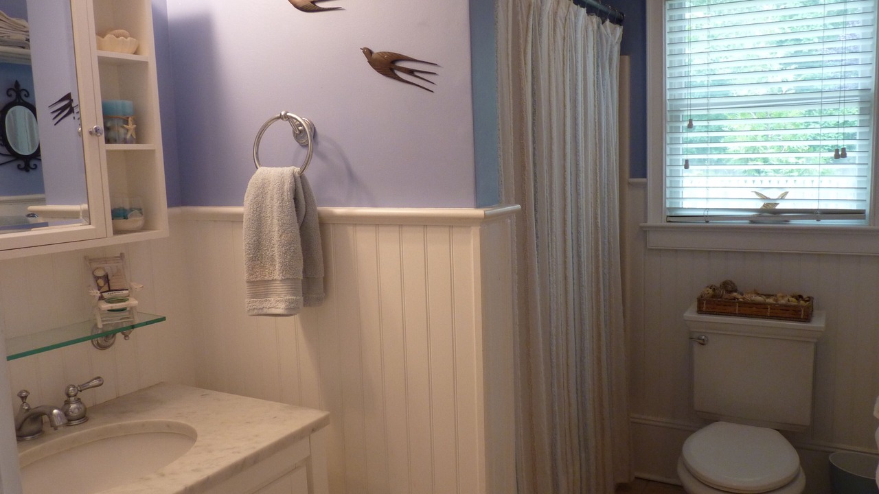 Photo of Bathroom in Springs