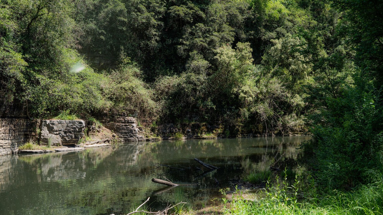 Photo of Others in Eccleston