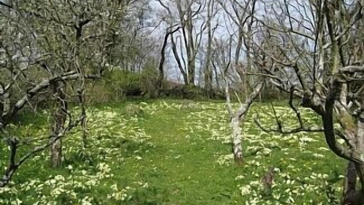 Photo of Others in Saint Blazey