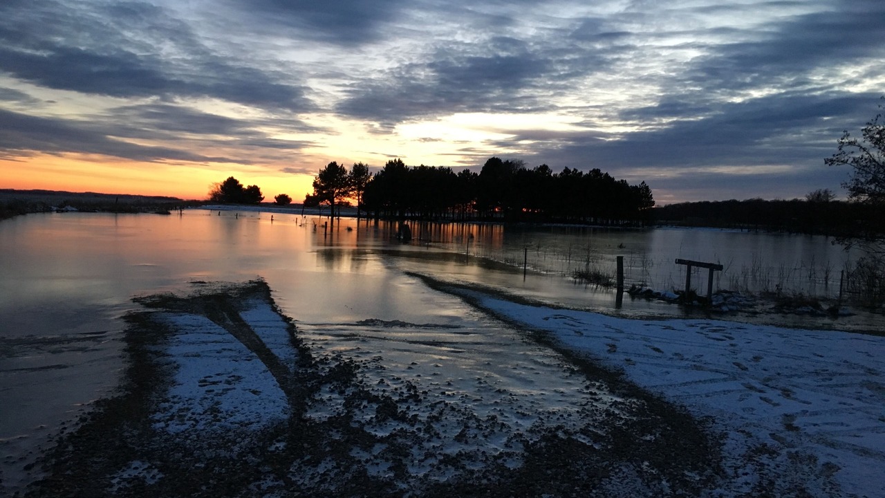 Photo of Others in Haarby