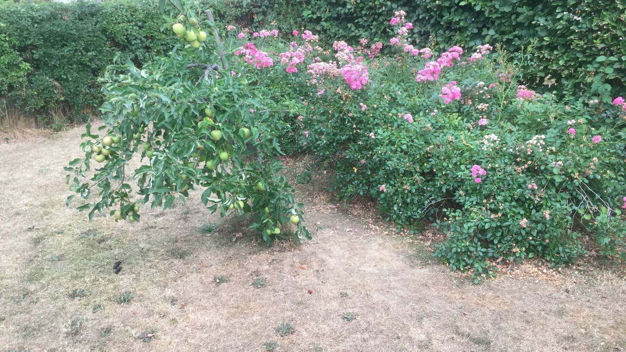 Photo of Outdoor in Haarby