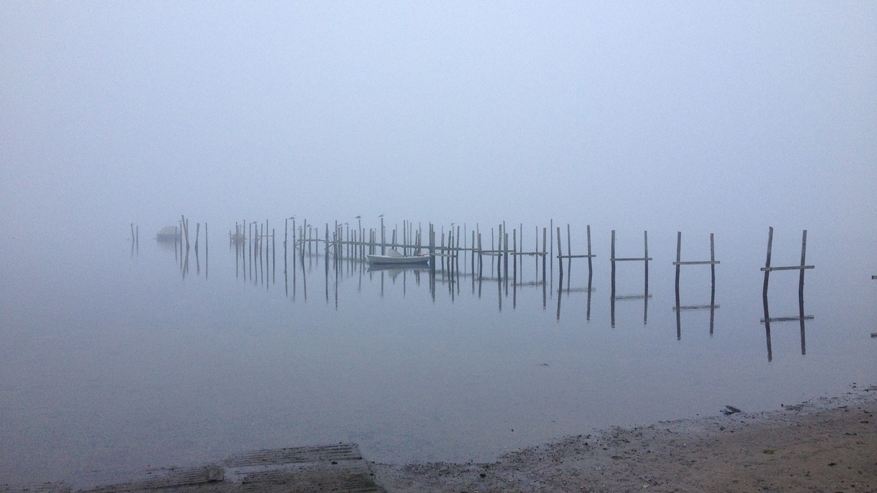 Photo of Others in Haarby