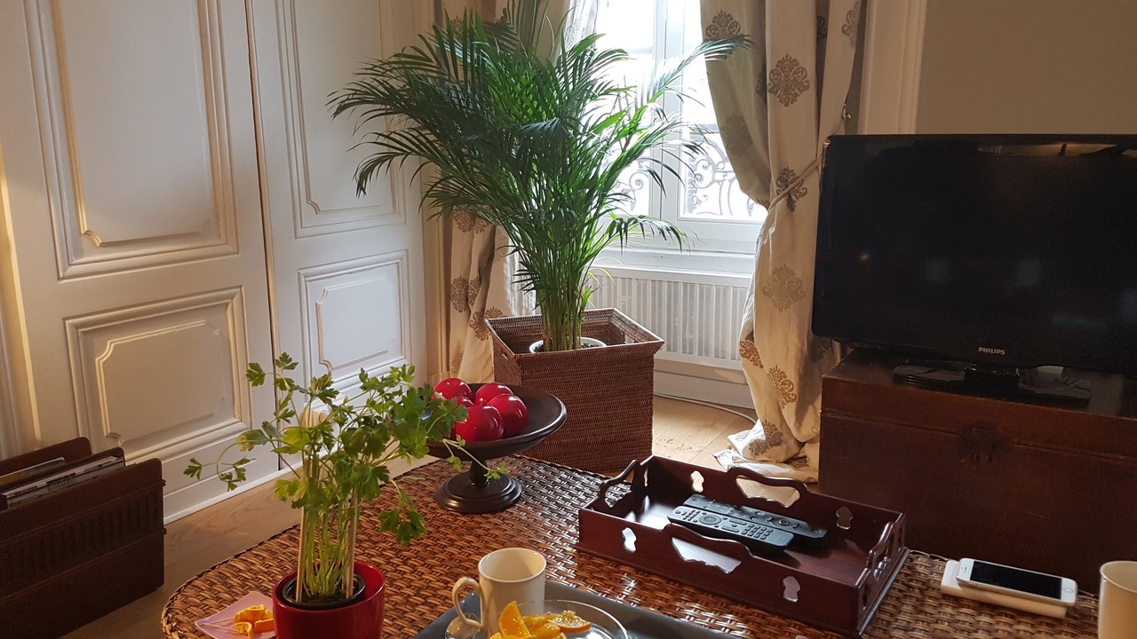 Photo of Others in Bellecour - Hotel Dieu