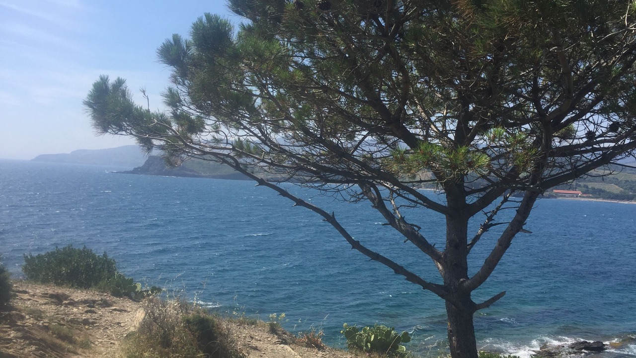 Photo of Others in Collioure