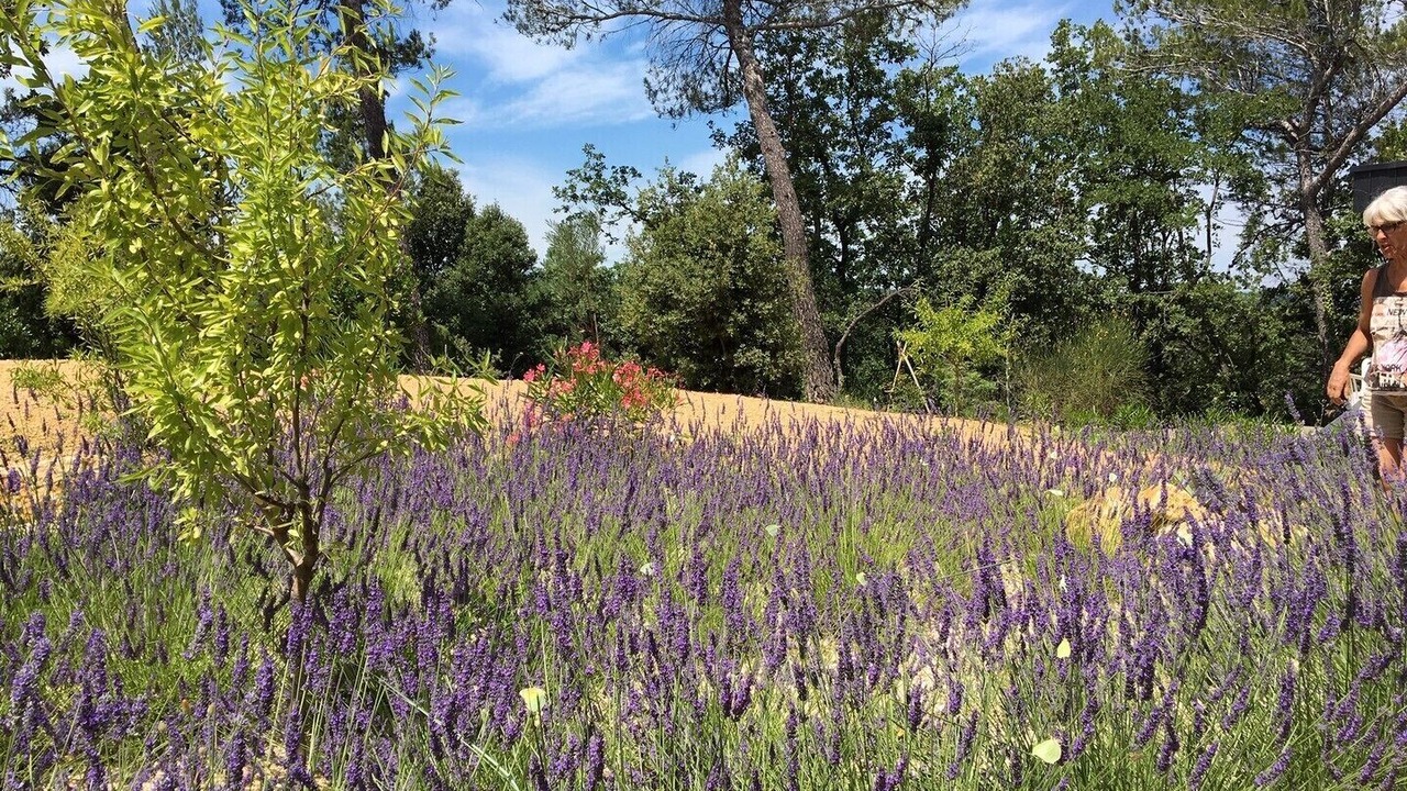 Photo of Outdoor in Carsan