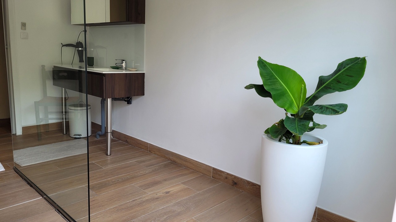 Photo of Others in Carnon-Plage