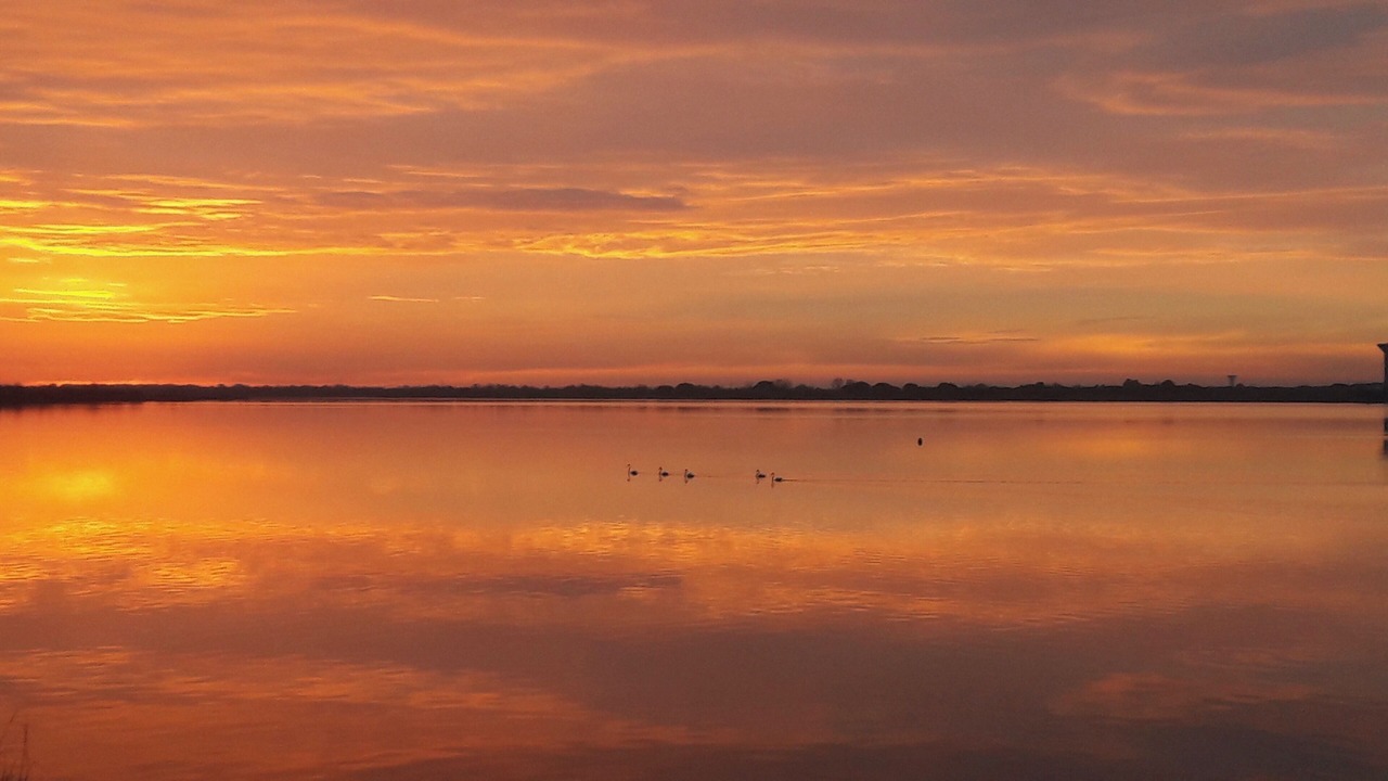 Photo of Others in Carnon-Plage