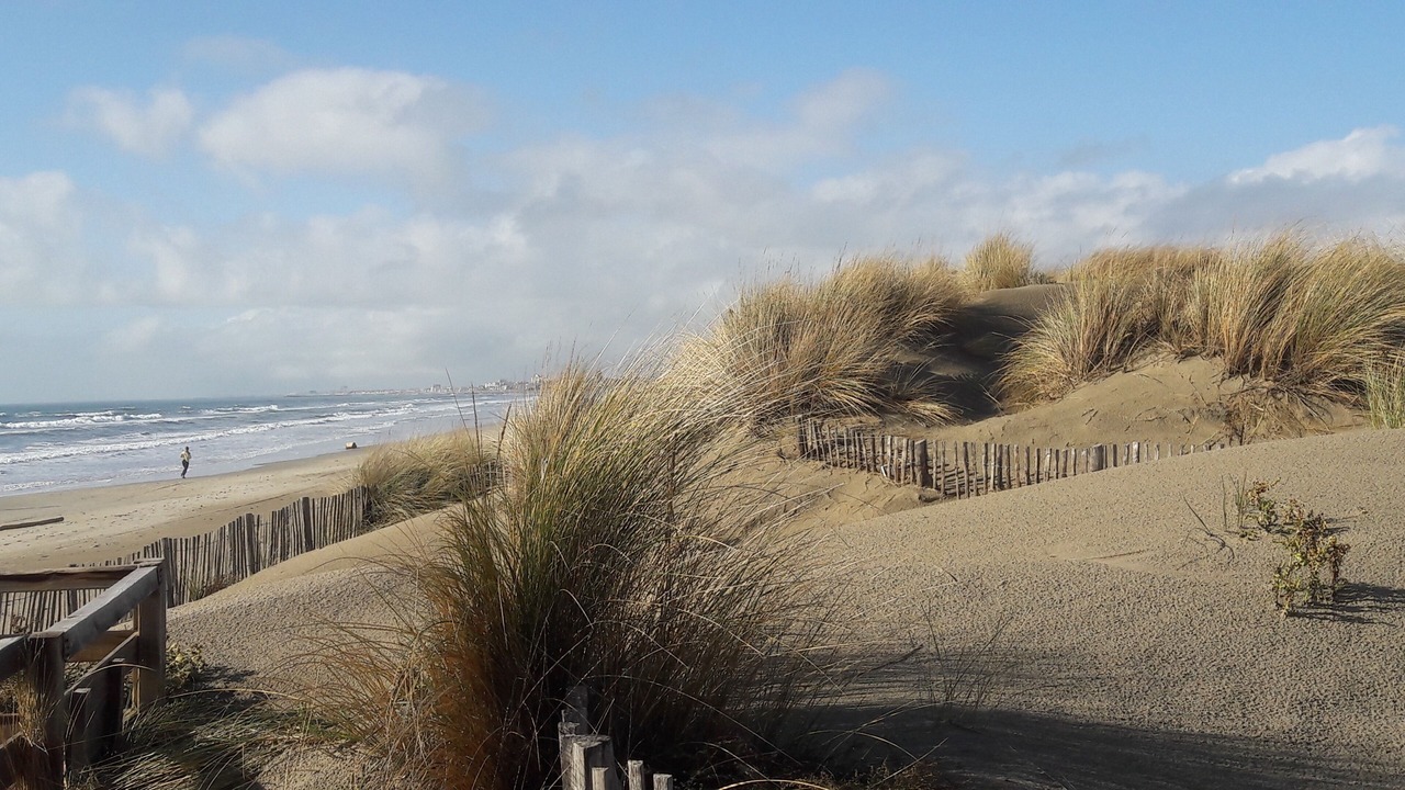 Photo of Others in Carnon-Plage