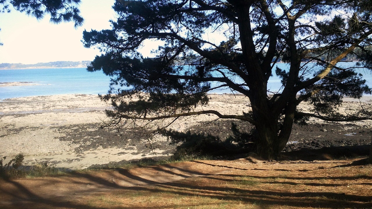 Photo of Others in Paimpol