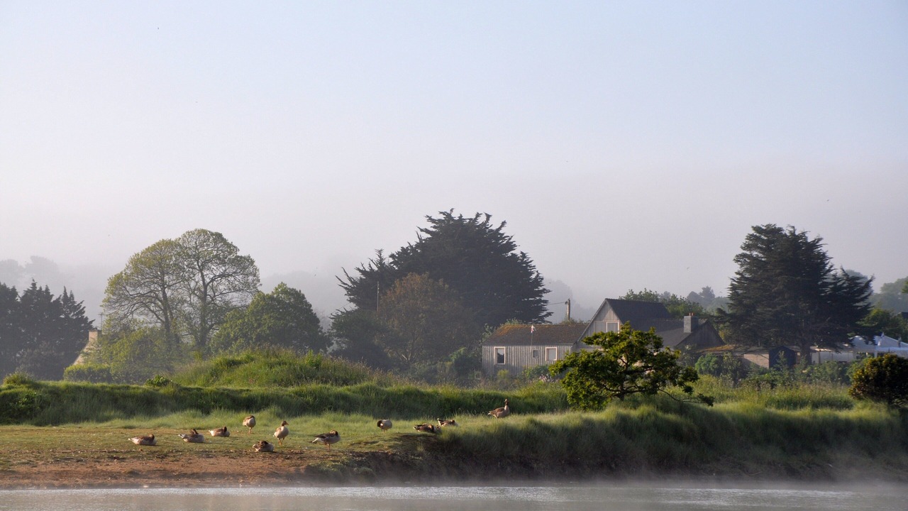 Photo of Others in Paimpol