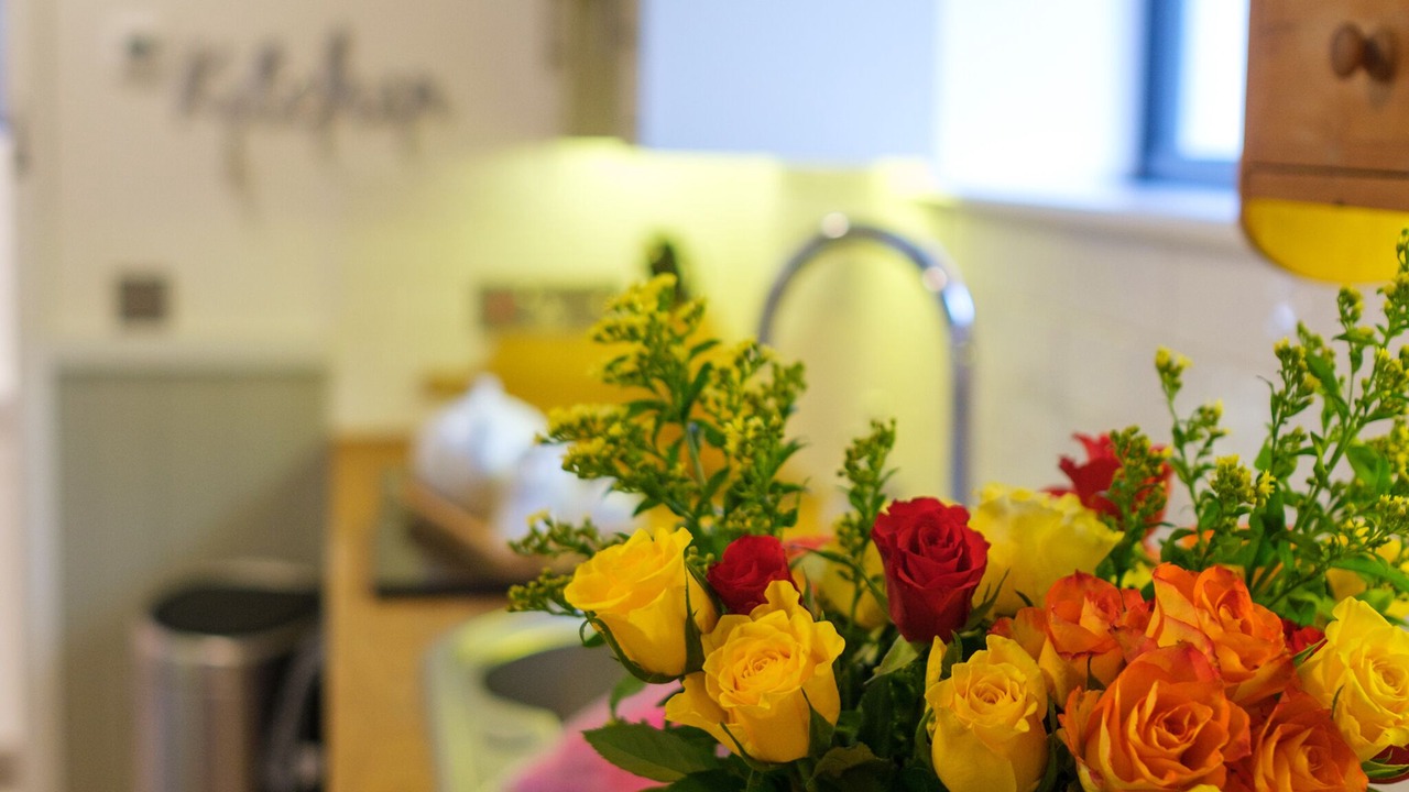 Photo of Others in Brandon