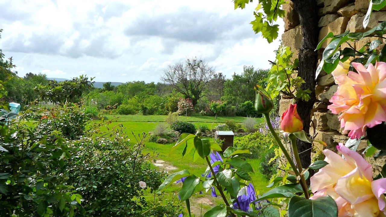 Photo of Outdoor in Saint-Andre-d'Olerargues