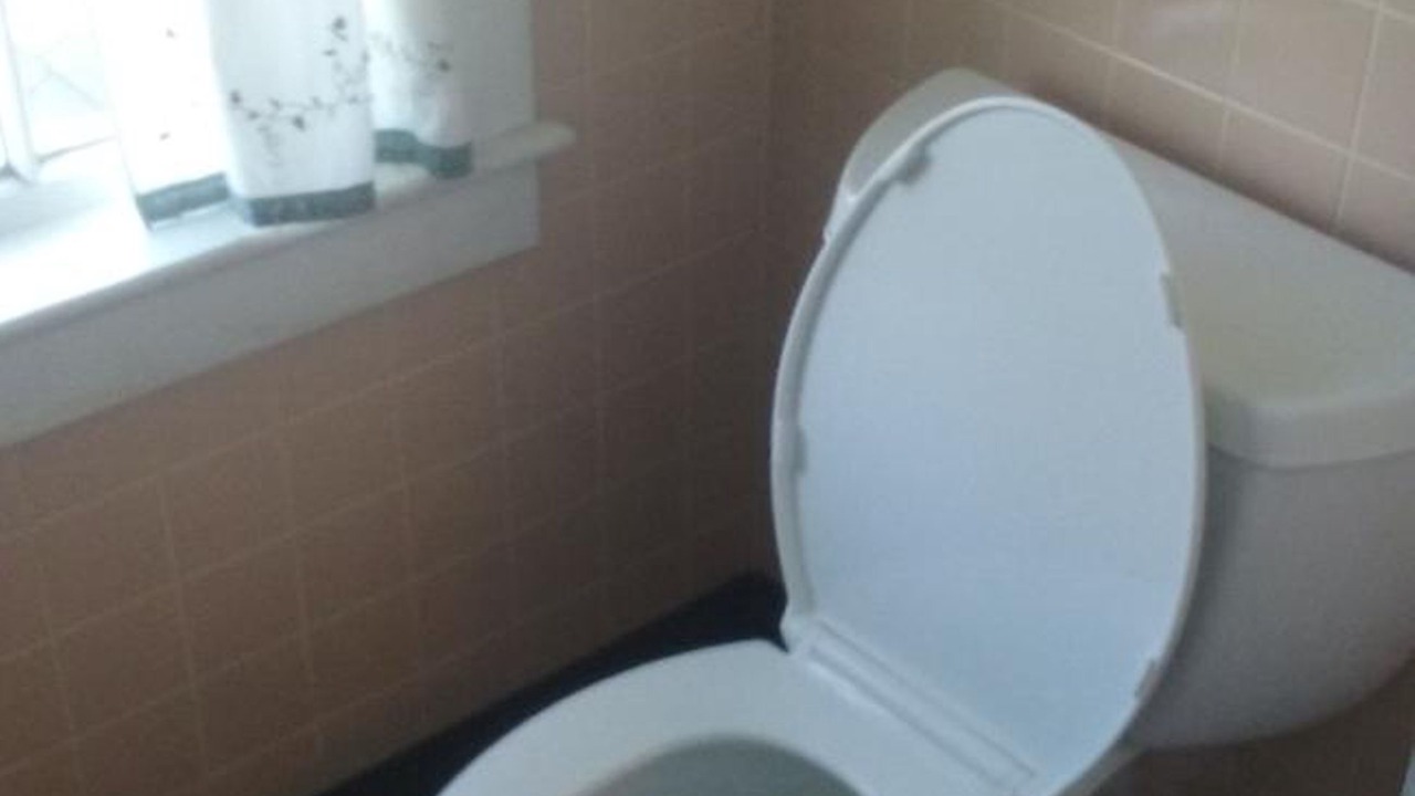 Photo of Others in Pleasant Point