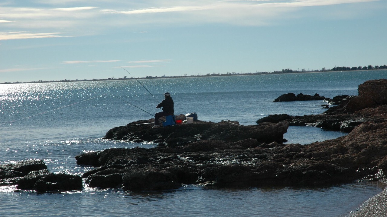Photo of Others in L'Ampolla