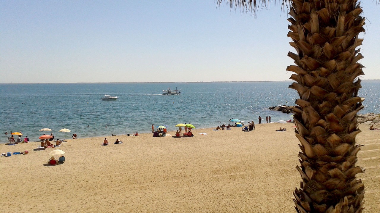 Photo of Others in L'Ampolla