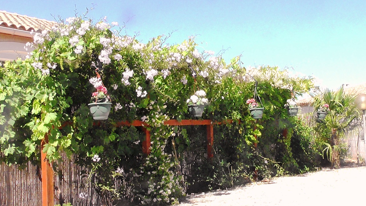 Photo of Outdoor in Saint-Genies-de-Fontedit