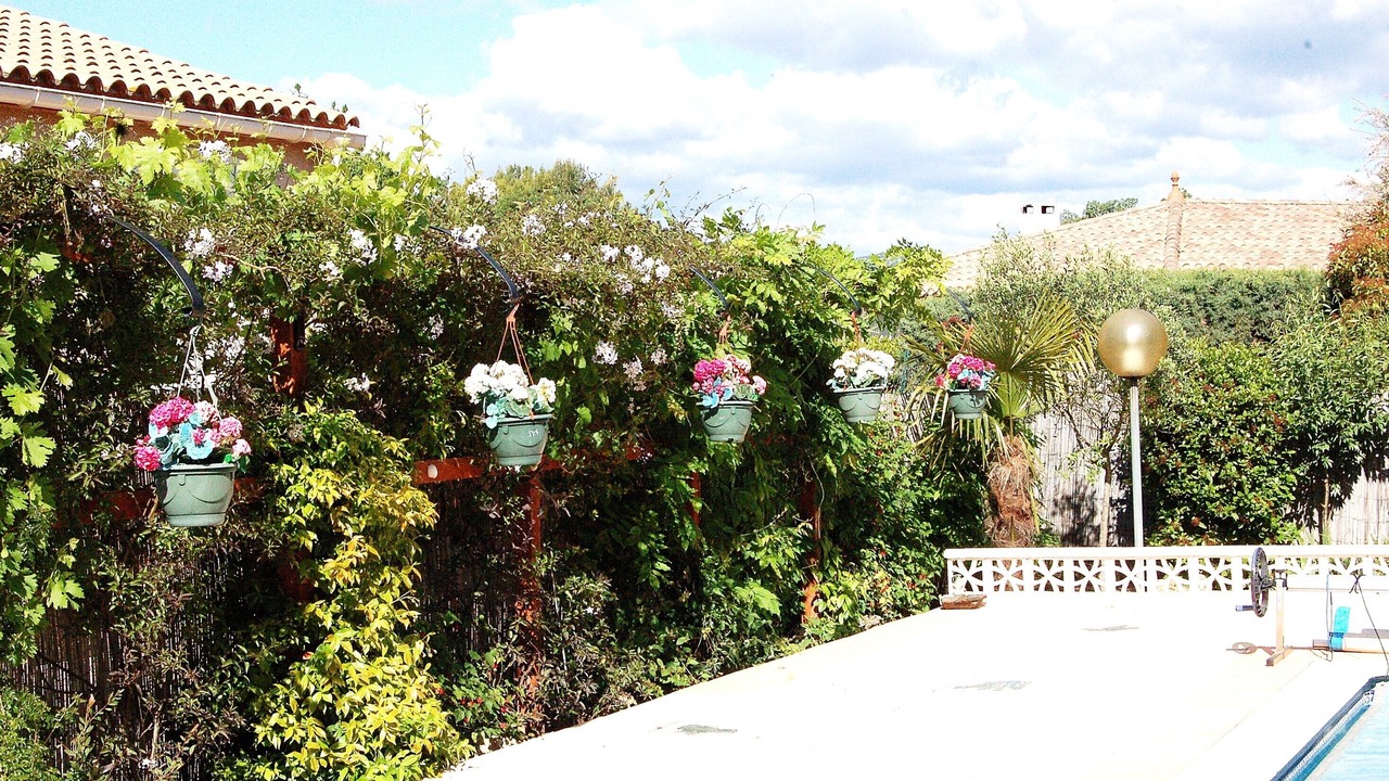 Photo of Outdoor in Saint-Genies-de-Fontedit