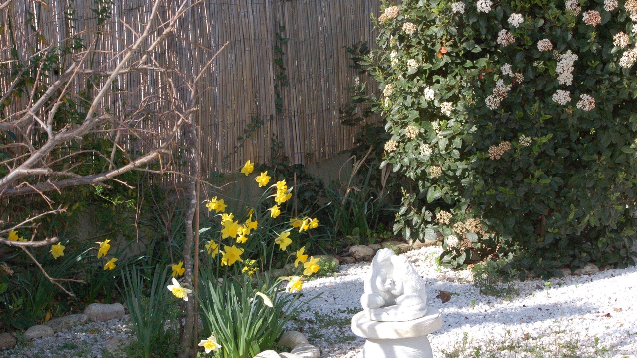 Photo of Outdoor in Saint-Genies-de-Fontedit