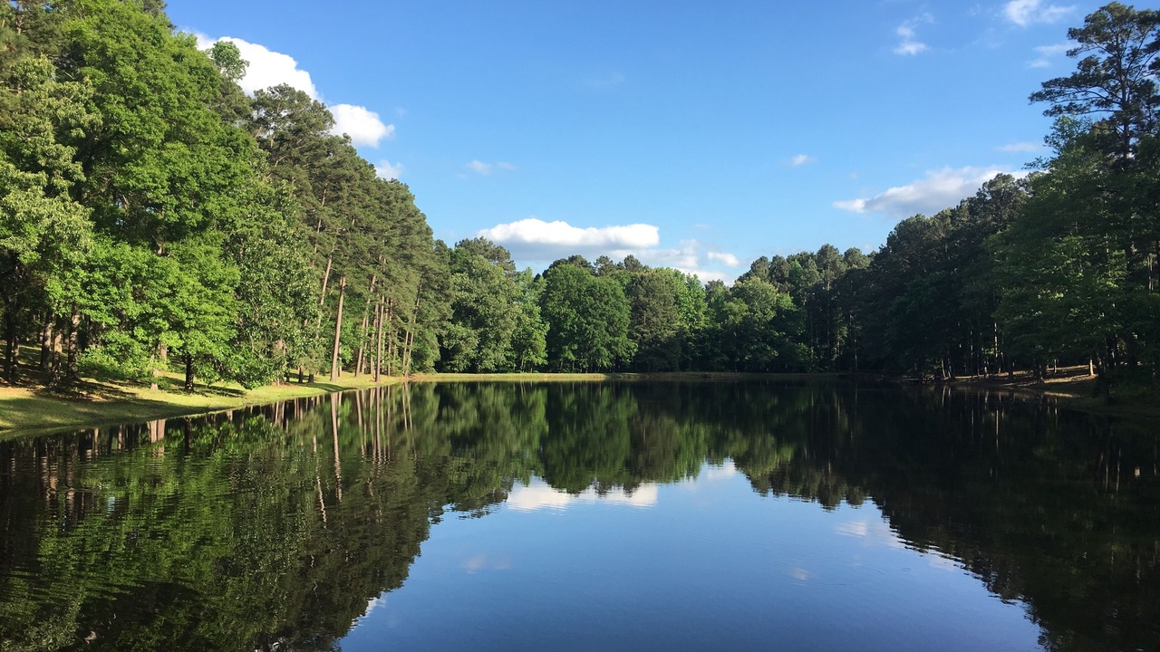 Photo of Outdoor in Center