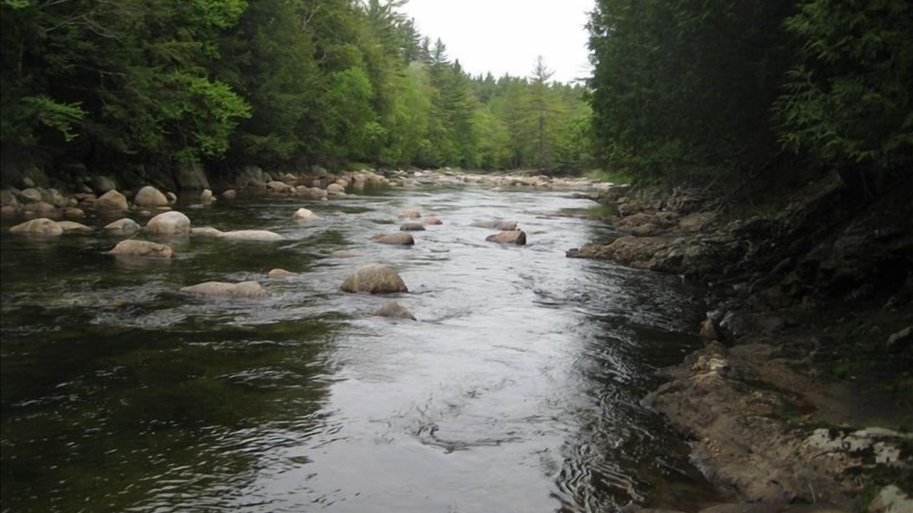 Photo of Others in Keene